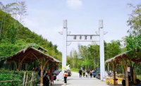 5月12日：徒步貢茶古道，天然氧吧，綠色之旅